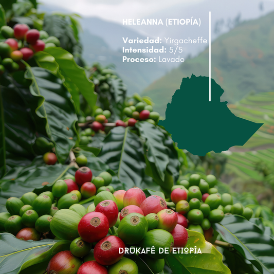 ETIOPíA- Heleanna (Natural)