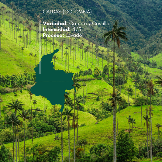 COLOMBIA, Caldas (Lavado)